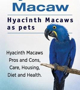 Hyacinth Macaw. Hyacinth Macaws as pets. Hyacinth Macaws Pros and Cons, Care, Housing, Diet and Health.