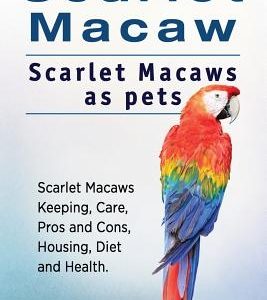 Scarlet Macaw. Scarlet Macaws as pets. Scarlet Macaws Keeping, Care, Pros and Cons, Housing, Diet and Health.