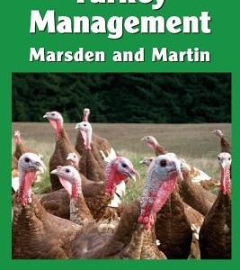 Turkey Management: A Comprehensive Guide to Raising Turkeys