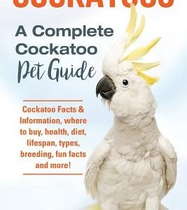 Cockatoos: Cockatoo Facts & Information, where to buy, health, diet, lifespan, types, breeding, fun facts and more! A Complete Co