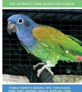 Pionus Parrots as Pets: Pionus Parrots General Info, Purchasing, Care, Cost, Keeping, Health, Supplies, Food, Breeding and More Included! The
