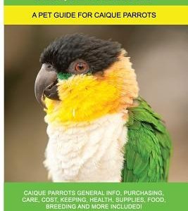 Caique Parrots: Caique Parrots General Info, Purchasing, Care, Cost, Keeping, Health, Supplies, Food, Breeding and More Included! A Pe