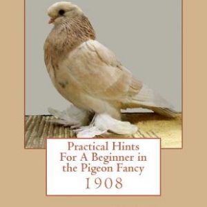 Practical Hints For A Beginner in the Pigeon Fancy