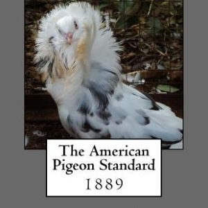 The American Pigeon Standard
