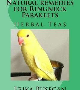 Natural remedies for Ringneck Parakeets: Herbal Teas