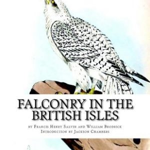 Falconry in the British Isles