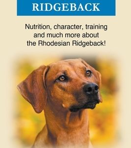 Rhodesian Ridgeback