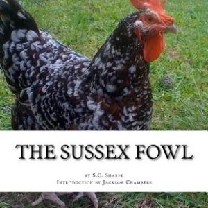 The Sussex Fowl: The History and Breeding of Sussex Chickens