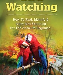 Bird Watching: How to Find, Identify & Enjoy Bird Watching for the Absolute Beginner