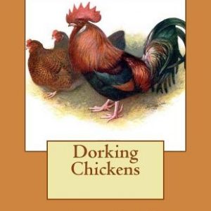Dorking Chickens: From The Book of Poultry