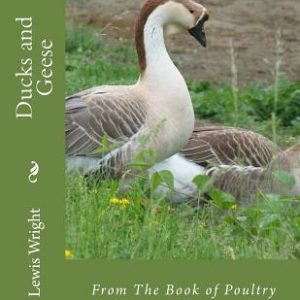 Ducks and Geese: From The Book of Poultry