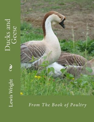 Ducks and Geese: From The Book of Poultry