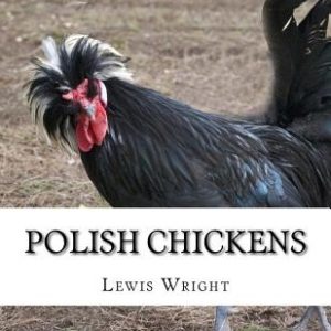 Polish Chickens: From The Book of Poultry