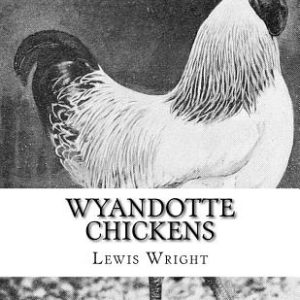 Wyandotte Chickens: From The Book of Poultry