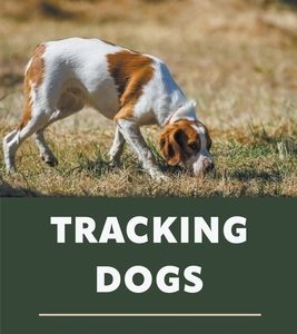 Tracking dogs