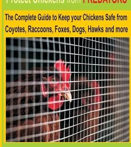 How to Protect Chickens from Predators: The Complete Guide to keep your Chickens Safe from Coyotes, Raccoons, Foxes, Dogs, Hawks and More