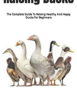 Raising Ducks: The Complete Guide To Raising Healthy And Happy Ducks For Beginners