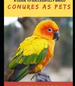 A Guide To Successfully Breed Conures As Pets: A Companion That That Worth It