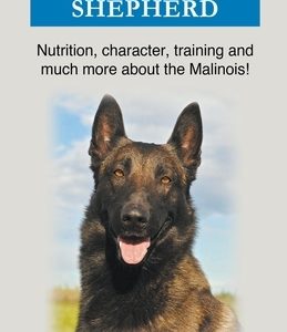 Belgian Shepherd