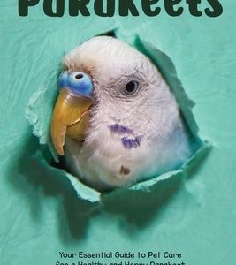 Parakeets: Your Essential Guide to Pet Care for a Healthy and Happy Parakeet