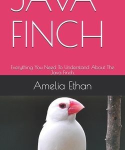Java Finch: Everything You Need To Understand About The Java Finch.