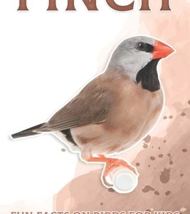 Finch: Fun Facts on Birds for Kids #14
