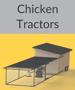 Back Yard Chicken Tractors
