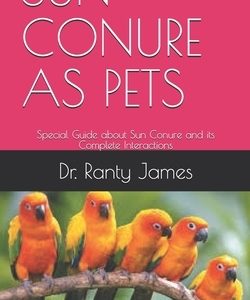 Sun Conure as Pets: Special Guide about Sun Conure and its Complete Interactions