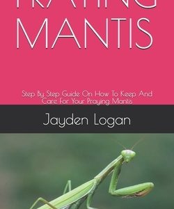 Praying Mantis: Step By Step Guide On How To Keep And Care For Your Praying Mantis