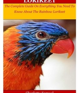 The Rainbow Lorikeet: The Complete Guide On Everything You Need To Know About The Rainbow Lorikeet