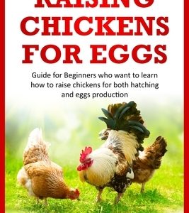 Raising Chickens for Eggs: Guide for beginners who want to learn how to raise chickens for both hatching and eggs production