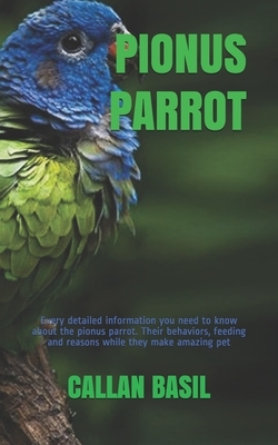 Pionus Parrot: Every detailed information you need to know about the pionus parrot. Their behaviors, feeding and reasons while they m