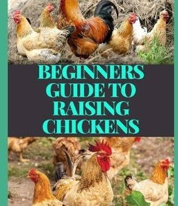 Beginners Guide to Raising Chickens: An Ultimate Guide About Breed Selection, Facilities, Feeding, Health Care, Managing Layers & Meat Birds