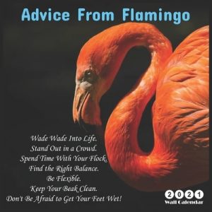 Advice From Flamingo 2021 Wall Calendar: Official Flamingos Calendar 2021, 12 Months Calendar