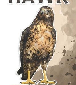 Hawk: Fun Facts on Birds for Kids #26