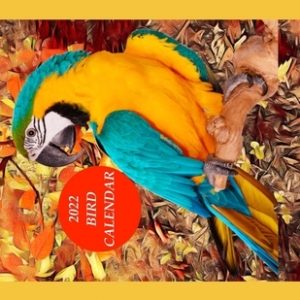 2022 Bird Calendar