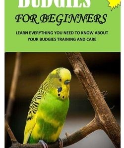 Budgies for Beginners: Learn Everything You Need To Know About Your Budgies Training And Care