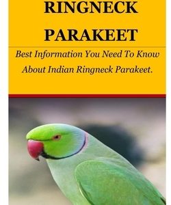 Indian Ringneck Parakeet: Best Information You Need To Know About Indian Ringneck Parakeet.