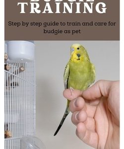 Budgie Training: Step by Step Guide to Train and Care for Budgie as Pet