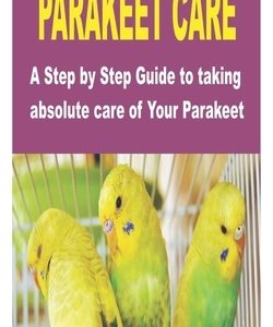 Parakeet Care: A Step by Step Guide to taking absolute care of Your Parakeet