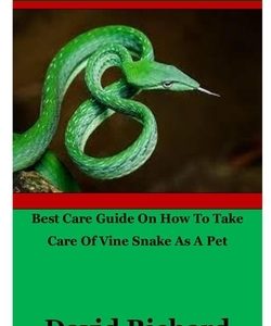 Vine Snake: Best Care Guide On How To Take Care Of Vine Snake As A Pet