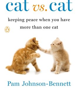 Cat vs. Cat: Keeping Peace When You Have More Than One Cat
