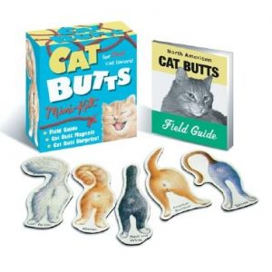 Cat Butts