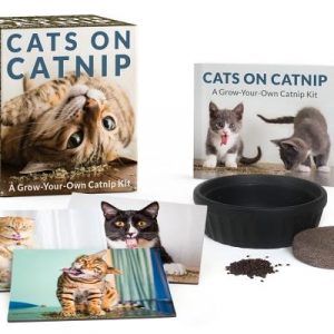 Cats on Catnip: A Grow-Your-Own Catnip Kit