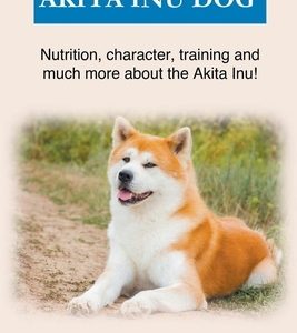 Akita Inu Dog