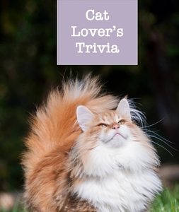 Cat Lover's Trivia: Weird and Wacky Facts about Our Furry Friends
