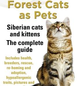 Siberian Forest Cats as Pets. Siberian Cats and Kittens. Complete Guide Includes Health, Breeders, Rescue, Re-Homing and Adoption, Hypoallergenic Trai