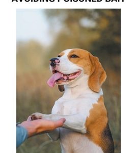 Dog Training for Avoiding Poisoned Bait