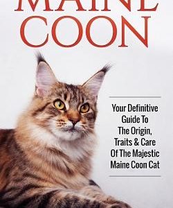 Maine Coon: Your Definitive Guide to The Origin, Traits & Care Of The Majestic Maine Coon Cat