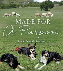 Made For A Purpose: Lessons From My Sheepdogs